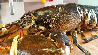 How To Prepare And Cook A Live Lobster 2 TheScottReaProject [upl. by Corotto]