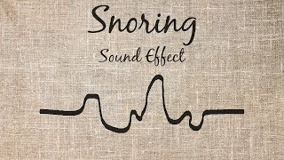 Snoring Sound Effect [upl. by Arinay]