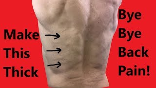 Erector Spinae Muscles Exercises [upl. by Aillicirp884]