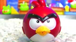 Epic Angry Birds War  Must See [upl. by Notsla]