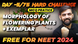 Morphology of Flowering Plants  Top 250 MCQs  Day 575  75 Hard Challenge  NEET 2024 [upl. by Gonick]