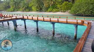 Kuramathi MALDIVES Resort 🌴🌴🌴 FULL Resort HD TOUR  FHD Vlog Maldives [upl. by Nihahs730]