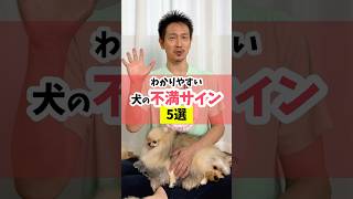 こんなサインに気づいたら理由を考えてみよう犬のいる暮らし 犬のいる暮らし dog [upl. by Antonin4]