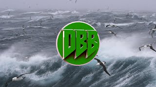 AronChupa  Im an Albatraoz Bass Boosted 1080p [upl. by Nimajeb157]