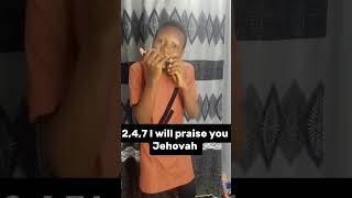 Two Four Seven I go praise you Jehovahharmonica gospelmusic praise christianmusic [upl. by Okramed200]