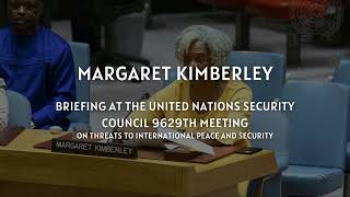 Margaret Kimberley Provides Briefing at the United Nations Security Council [upl. by Lorry]