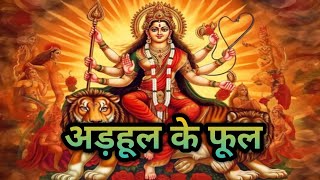 अड़हूल के फूलdjremixbhojpuribhojpuridj bhakti song [upl. by Aivatahs597]