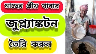 How to Grow Zooplankton in Fish Pond  Bangla [upl. by Corron]