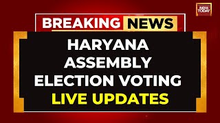 LIVE Haryana Assembly Elections Voting LIVE  MultiCornered Electoral Battle In Haryana [upl. by Sueahccaz]