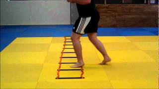 Agility Ladder Drills  for Judowmv [upl. by Alli121]