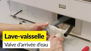 Comment remplacer l’électrovanne sur un lavevaisselle [upl. by Lund692]