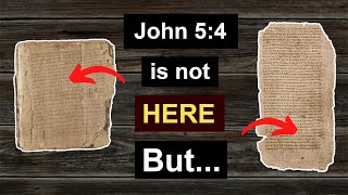 The PAPYRUS manuscripts DONT contain John 54 BUT [upl. by Sidoney]