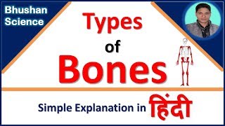 Types of Bones simple explanation in Hindi  Bhushan Science [upl. by Florella]