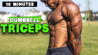 10 MINUTE LIGHTWEIGHT DUMBBELL TRICEP WORKOUT [upl. by Evans692]