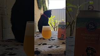 LIMESTONE COAST  HORNBLOWERS HAZY NEIPA 65 abv [upl. by Otxis395]