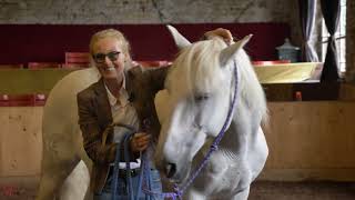 Marie Massmann  Vorstellung Horse Focus Training [upl. by Concepcion851]