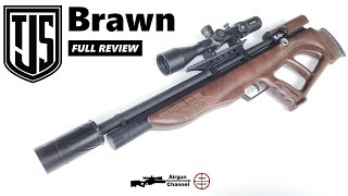 JTS Brawn Review Bullpup PCP Rifle Top Accuracy at 499 [upl. by Reinwald]