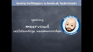 Spelling meervoud zelfstandige naamwoorden [upl. by Yenhoj741]