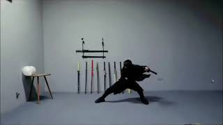 Challenge the first speed record of swordsmanship [upl. by Rayshell]