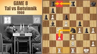 The Gloves Are Off  Tal vs Botvinnik 1960  Game 8 [upl. by Richelle]