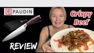 PAUDIN REVIEW with Chinese style sweet chilli crispy beef cook amp eat chefknife chinese review [upl. by Naugan976]