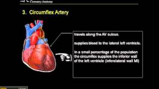 1215 Lead ECG Coronary Anatomy Part 3 [upl. by Babcock643]