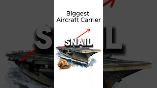 Snail 🐌 vs Fighter Jet ✈️—The Shocking Winner 🤯🚀 [upl. by Marten]