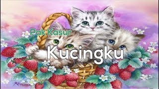 Midi Karaoke 🎵 Pak Kasur  Kucingku 🎵 Lirik Lagu INSTRUMENTAL [upl. by Ahsot]