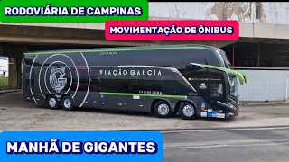 MUITOS Ã”NIBUS BONITOS CHEGANDO PELA MANHÃƒ  MOVIMENTO DE Ã”NIBUS NA RODOVIÃRIA DE CAMPINAS  SP [upl. by Neelahtak]