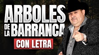 ARBOLES DE LA BARRANCA con LETRA El Coyote y su Banda Viejitas Rancheritas [upl. by Eidaj905]