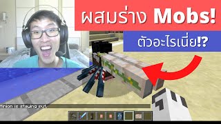 🤩สุดเจ๋ง quotรวมร่าง Mobs ใน Minecraftquot มอนส์เตอร์แปลกประหลาด [upl. by Loris]