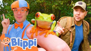 Blippis Adventure with Brave Wilderness  BEST OF BLIPPI TOYS  Educational Videos for Kids [upl. by Whitaker]