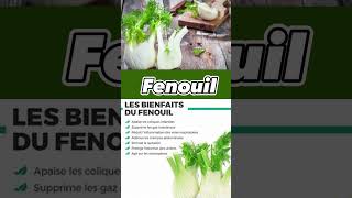 LES BIENFAITS DE FENOUIL [upl. by Eseekram871]