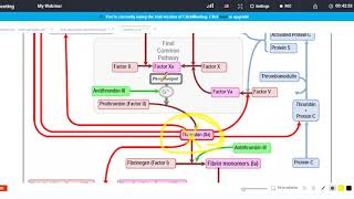 Antithrombotics 02 Drugs [upl. by Ahsihat571]