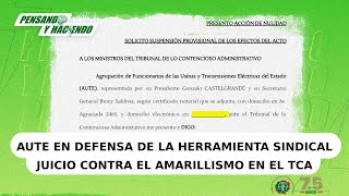 AUTE en juicio contra el amarillismo en el TCA [upl. by Ynnij404]