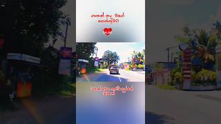 Magen sene infobellshindirhymes ada couple srilanka love ceylonlk musicstyle musicgenre [upl. by Ruthven]