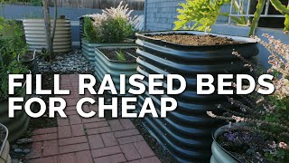 How to Fill a Raised Bed and Save 60 on Soil Costs [upl. by Rebeka468]