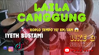 LAILA CANGGUNG IYETH BUSTAMI  DUT KOPLO JANDUT [upl. by Yecak]