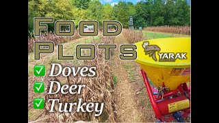 Will this work FOOD PLOTS for Dove Deer amp Turkeys  John quotDeere Downquot PART 2 [upl. by Harlamert]