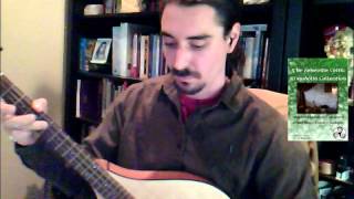 Banish Misfortune Irish Jig on Octave Mandolin [upl. by Nerwal]