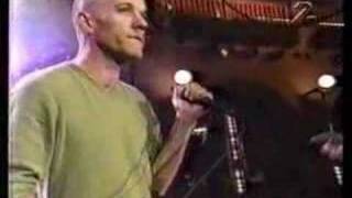 REM Radio Free Europe Stockholm 1998 [upl. by Idnem710]