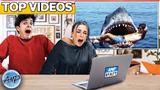 Amp World REACTS To Most Viral Videos  Amp World [upl. by Linson914]