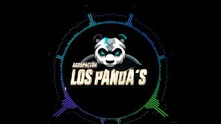 Mix chichas Agrupacion Los Pandas 2024 [upl. by Burack98]