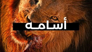 الاسد المرعب اسامه  الجزء الاول 2022 [upl. by Karee]