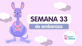 Semana 33 de embrazo [upl. by Nospmis]