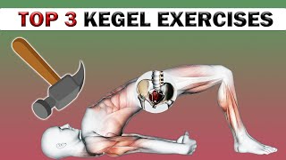 TOP Kegel Exercises For MEN 🔨 Complex KEGEL Exercises For MAN 🔨 [upl. by Gnel754]