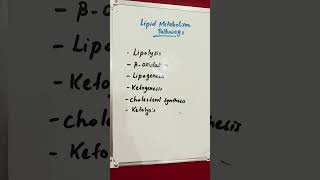 Lipid Metabolism Pathways lipids lipid metabolism metabolic [upl. by Winne206]