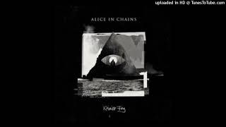 Alice In Chains  Rainier Fog [upl. by Esiuol]