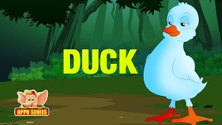 Animal Sounds  Duck [upl. by Ahidam]