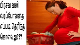 Prasava Vali SymptomsLabor Pain Symptoms before deliveryDelivery Pain Symptoms in Tamil [upl. by Latoya]